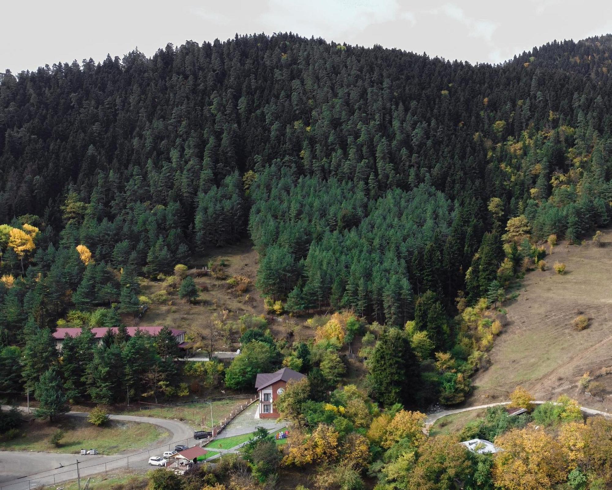 Holiday Borjomi Qvibisi Exterior foto